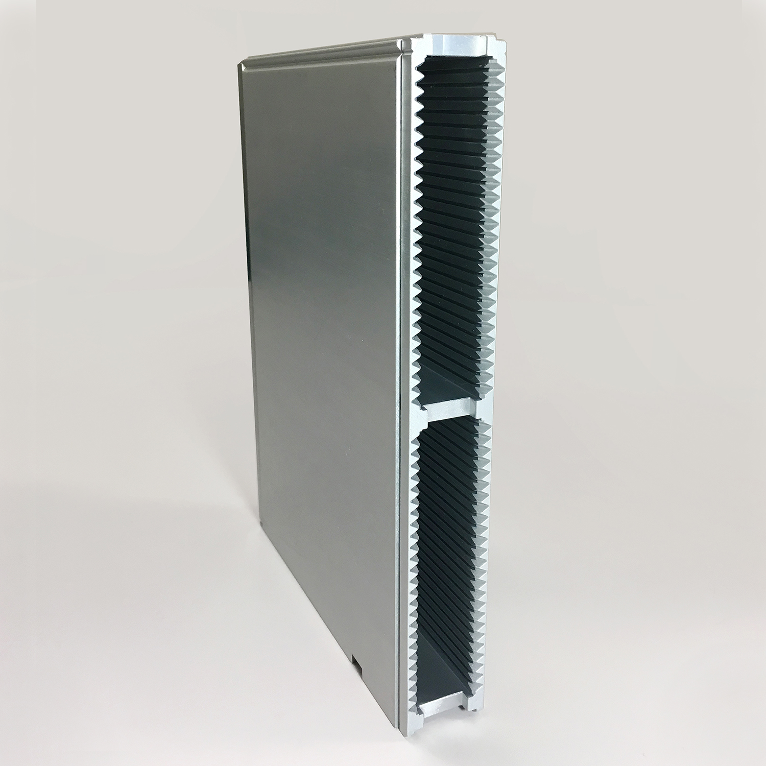 Magazine case